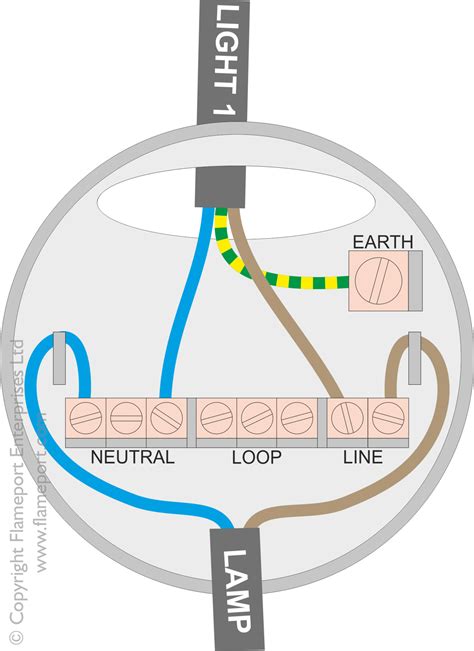 ceiling rose junction box wiring|ceiling lighting wiring rose.